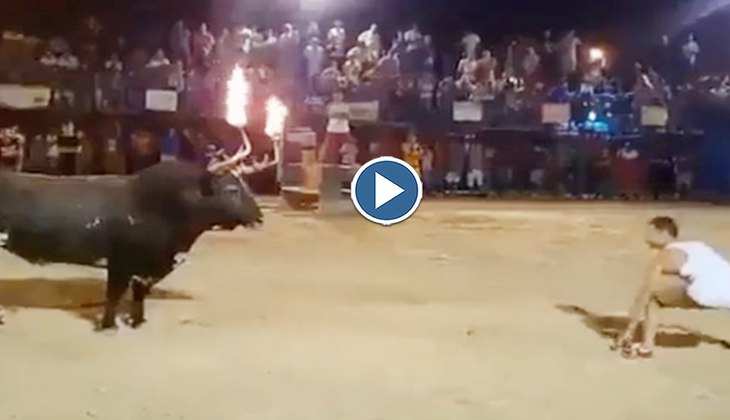 Viral Video: सांड के ऊंगली करना इस आदमी को पड़ा बहुत भारी! सींग के बल पर उठाकर हवा में उछाला, देखिए वीडियो