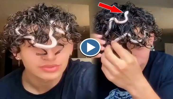 Snake Video: हे भगवान! लड़की के घुंघराले बालों में घुस गया सांप का बच्चा, देखिए फिर कैसे निकला बाहर