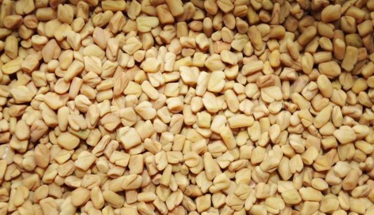 Fenugreek Seed Water: सुबह खाली पेट मेथी दाने का पानी जरूर पीएं, शुगर रहेगा कंट्रोल