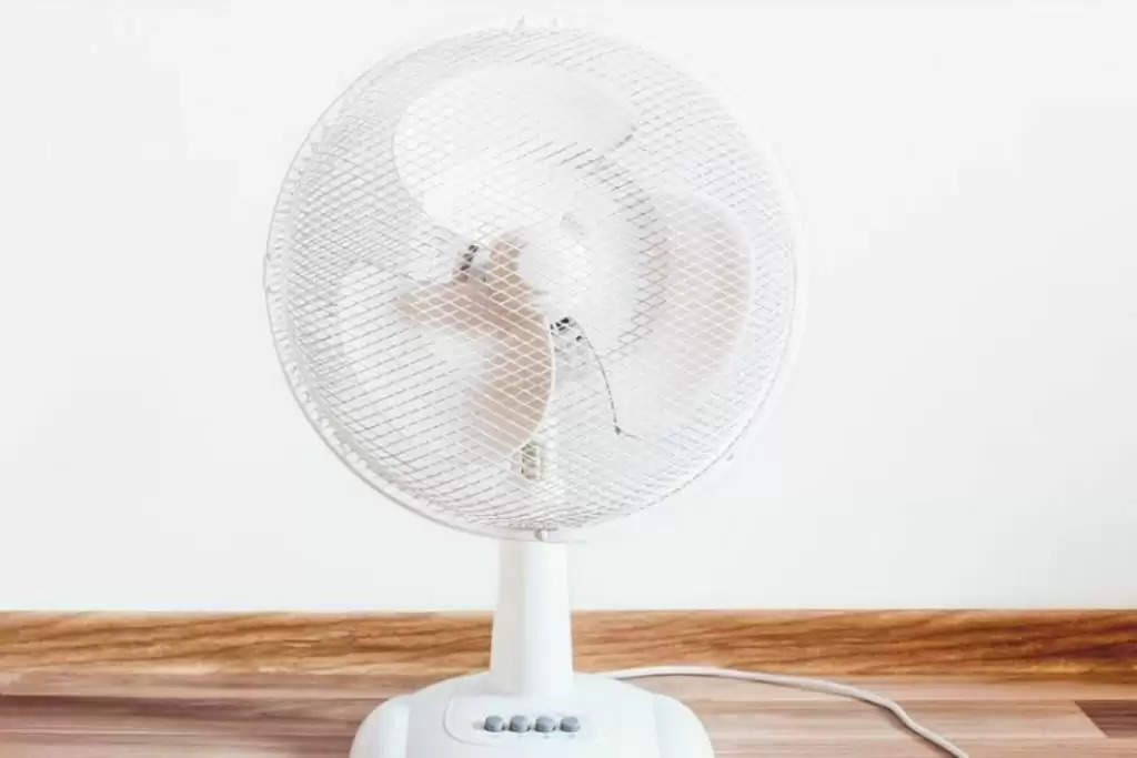 Thermal Fan Online: सर्दी में बढ़ गई है इस फैन की डिमांड, जानें क्या है इसकी कीमत और फीचर्स