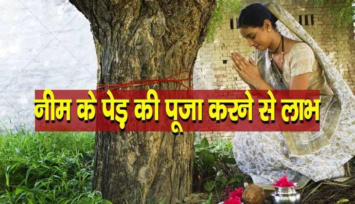 Mangalwar ki puja: मंगलवार के दिन नीम के पेड़ की पूजा करने से होते हैं अनेक लाभ, जरूर जानें