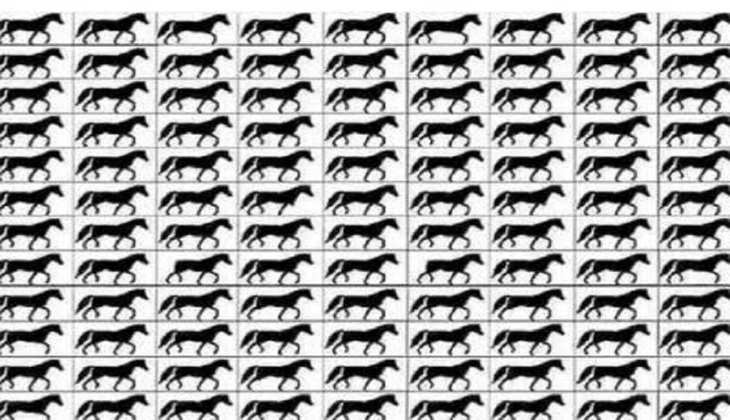 Optical Illusion: इस तस्वीर में छिपे हैं 3 टांग वाले घोड़े,सही गिनती बताने में 99 प्रतिशत लोग हुए फेल