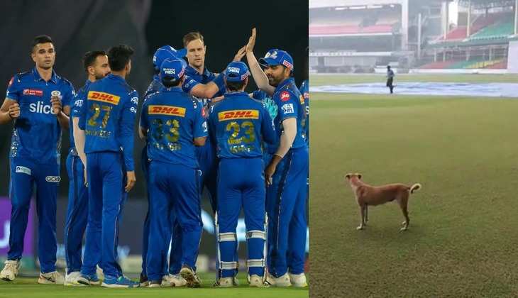 LSG vs MI: मुंबई को लखनऊ के खिलाफ मैच से पहले लगा बड़ा झटका, खतरनाक आलराउंडर को कुत्ते ने काटा - Video