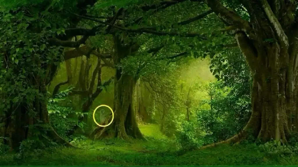 Optical Illusion: हरे- भरे जंगल के बीच छिपा है एक जानवर, 10 सेकेंड में ढूंढ़ने वाले को समझा जाएगा जीनियस