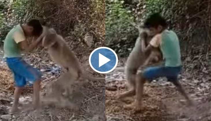 Viral Video: बाप रे! लंगूरी बंदर ने बच्चे के बाल पकड़कर हिला डाली खोपड़ी, देखिए फिर लड़के ने क्या किया