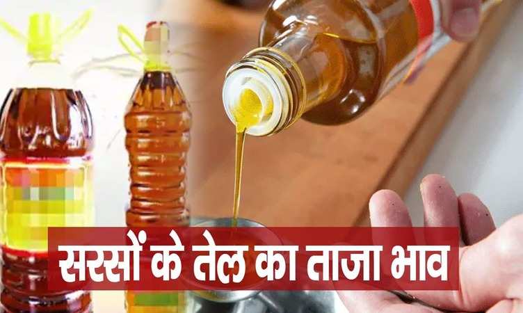 Mustard Oil Price Update: इस बार सरसों का बढ़ा रकबा, जानिए उत्तर प्रदेश में कितने में मिल रहा 1 लीटर सरसों का तेल