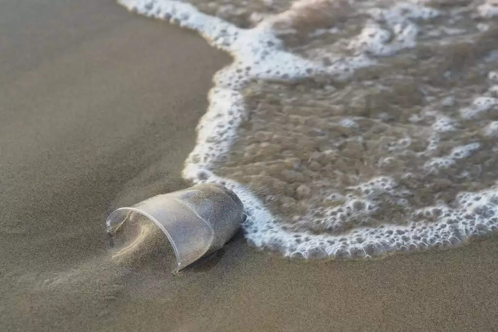 Plastic Pollution: बाहर का खाना समुद्र में डाल रहा है कचरा