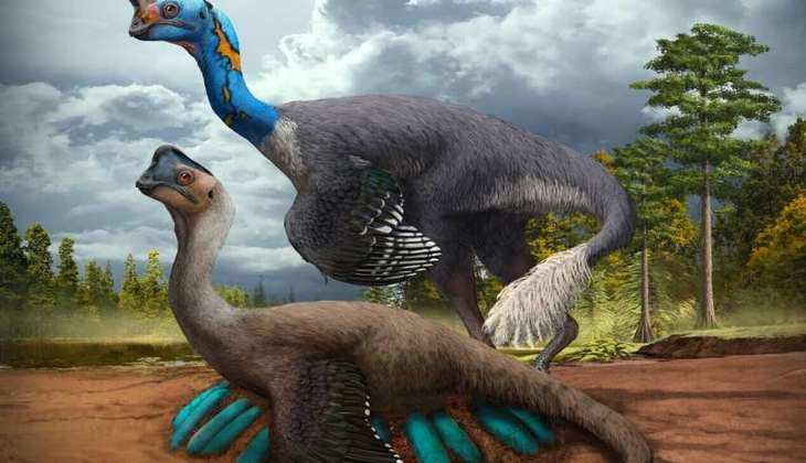 Dinosaur Found on Eggs with Babies: अंडो से भरे घोंसले पर मिला डायनासोर, अंदर बच्चे भी मौजूद, जानें यहां...