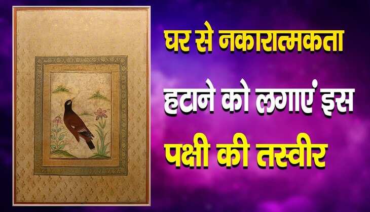 Vastu painting at home: घर में हर तरफ छा गई है नेगेटिविटी, तो आज ही दीवार पर लगा लें ये तस्वीर
