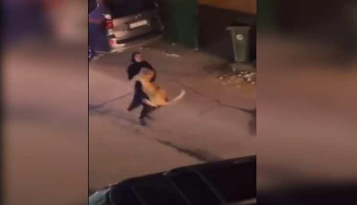 Viral video: शेर को गोद में उठाकर ले जा रही यह महिला, वीडियो देख दंग रह गए लोग