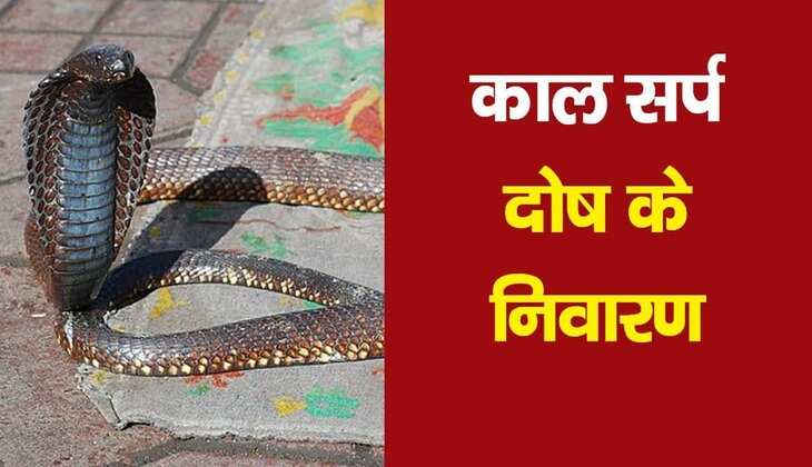 Kaal sarp dosh: कुंडली में ये दोष होने पर जीवन भर सताती हैं दिक्कतें, जानें प्रभाव औऱ उपाय