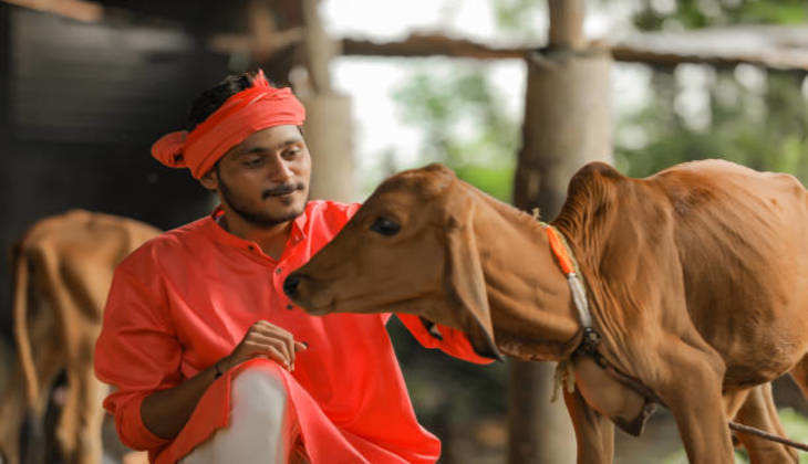 Hindu Dharm Facts: इस जानवर ने अगर चाट लिया आपका हाथ, तो बदल जाएगी आपकी किस्मत…