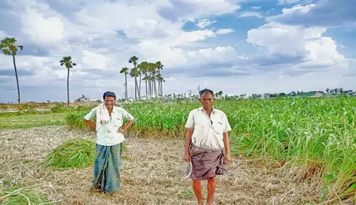 PM Kisan Yojana: क्या आ गयी हैं ?पीएम किसान योजना की 11वी किस्त? पढ़े खबर 