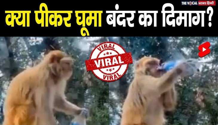 Monkey Viral Video: ऐसा क्या पी लिया कि घूम गया बंदर का दिमाग?