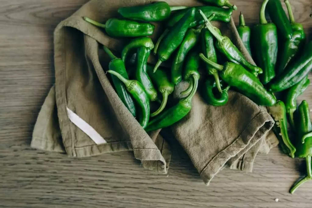 Weight loss diet: खूब खाएं तीखी तीखी Green Chili, नहीं होंगे कभी मोटापे का शिकार