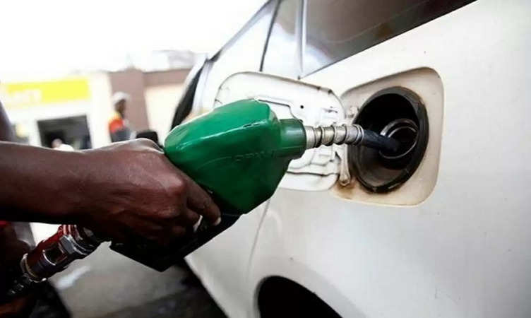 Petrol Diesel Price Update: संडे को बेफ्रिक होकर जाएं घूमने, तेल कंपनियों ने जारी किए पेट्रोल-डीजल के रेट, जानिए आपके शहर में क्या है दाम 