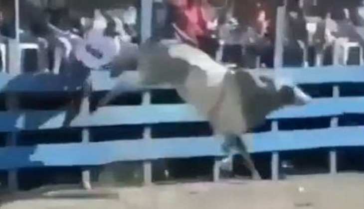 Bull ka Video: छेड़छाड़ कर रहे छोरे के सांड ने घुमाकर दी लात, लोग बोले-'ये है परफेक्ट शॉट'