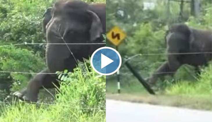 Viral Video: हाथी की स्मार्टनेस पर फिदा हुई इंटरनेट की जनता, वीडियो देख आप भी करेंगे तारीफ