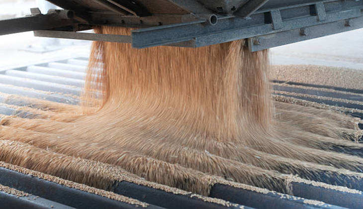 Wheat Export : इस मुस्लिम देश को गेहूं निर्यात करेगा India, कई बड़े देशों का है लिस्ट में नाम