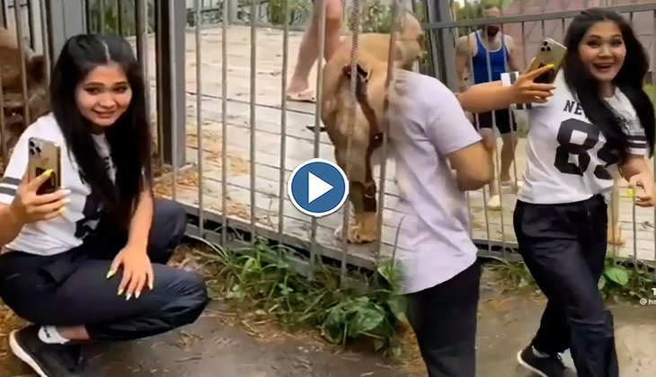 Viral Video: शेरनी के साथ सेल्फी ले रही थी लड़की, तभी पीछे से भालू ने पकड़ ली टी-शर्ट! देखिए फिर क्या हुआ