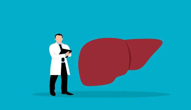Liver Care: भूलकर भी ना बरतें लीवर के प्रति लापरवाही, इन चीजों के सेवन द्वारा डॉक्टर से रहेंगे कोसो दूर
