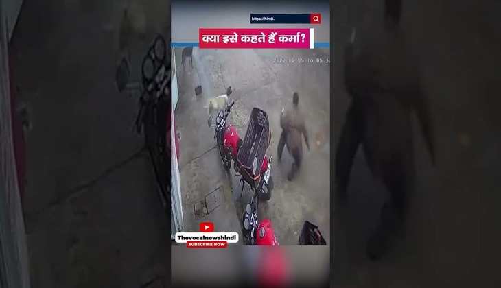 Viral Video: कुत्ते को लतियाना युवक को पड़ गया भारी!