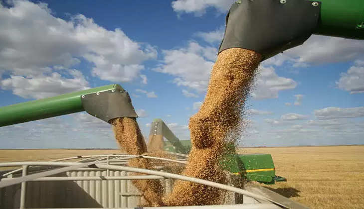 Russia-Ukraine Conflict: रूस और यूक्रेन की जंग के बीच भारत निभाएगा अन्नपूर्णा की भूमिका, करेगा Wheat Export ?