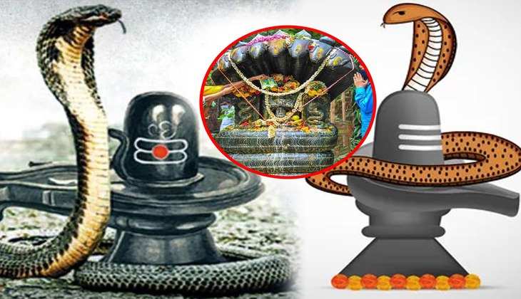 Nag Panchami 2022: इस दिन बन रहा है बेहद ही खास संयोग, विधि-विधान से नाग देवता की पूजा करने पर होगा लाभ