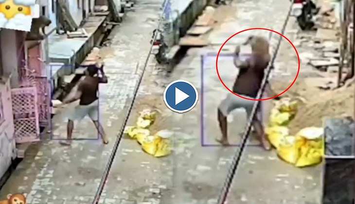 Viral Video: बंदर ने WWE वाले स्टाइल में शख्स पर किया प्रहार, वीडियो देख लोग बोेले-'ये तो धोबी पछाड़ मार रहा'