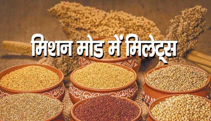 International Year of Millets 2023: प्रधानमंत्री नरेन्द्र मोदी की पहल से विश्व में बढ़ेगा' श्री अन्न' का उपयोग, उत्पादन में होगी बढ़ोत्तरी