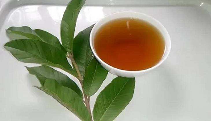 Guava Leaves Tea: गर्मी में जरूर पीएं ये सुपर ड्रिंक, आप पूरा दिन रहेंगे एनर्जी से भरपूर