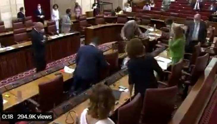 स्पेन की संसद में घुस आया 'चूहा', कुर्सी छोड़ भागे सांसद! वीडियो हुआ वायरल