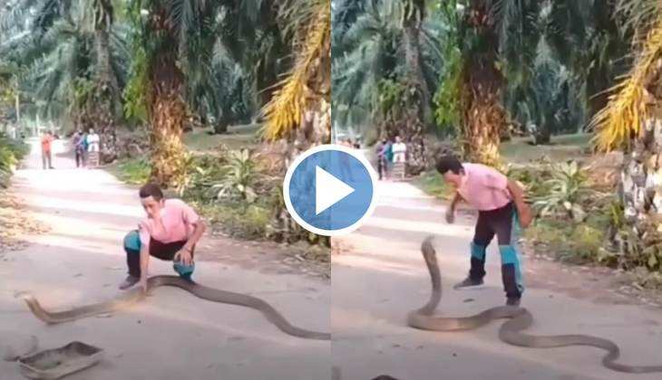 Snake Viral Video: शख्स ने बड़ी ही चालाकी से सांप को किया काबू, वीडियो देख मुंह का ढक्कन रह जाएगा खुला