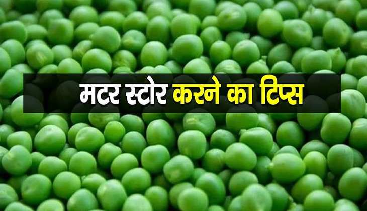 Green Peas: गर्मियों में भी मटर दाने को लंबे समय तक रख सकते हैं स्टोर, वीडियो में देखें शेफ ने बताया तरीका