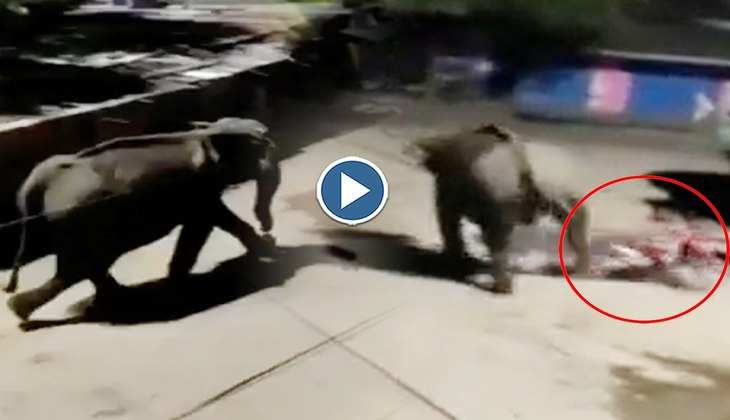 Viral Video: नो पार्किंग में खड़ी बाइक के साथ  हाथी ने कर दी ऐसी हरकत, वीडियो देख लोग बोले-'ये सही किया'