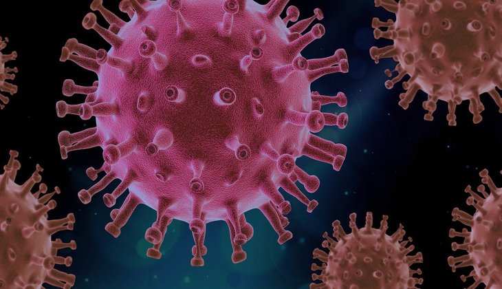 Coronavirus Updates: दिल्ली में 1,141 लोग आए पॉजिटिव, मौत के आंकड़ों ने बढ़ाई चिंता