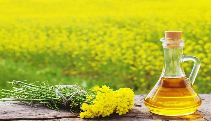Mustard Oil Price Update: कानपुर से लेकर मेरठ तक ग्राहकों के लिए गुड न्यूज! सरसों के तेल की कम हुई कीमत