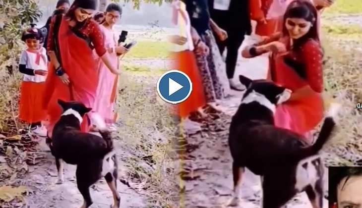 Viral Video: लड़की ने डॉगी के सामने किया जबरदस्त डांस तो लोग बोले-'बसंती इस कुत्ते के आगे मत नाच', देखिए वीडियो