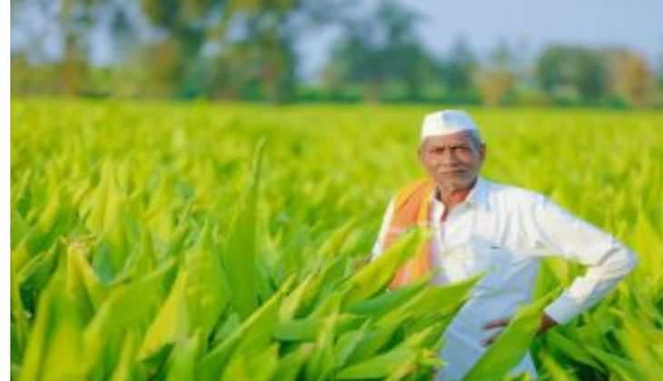 खुशखबरी: पीएम खाद योजना में किसानों को इतने रुपए दे रही है सरकार, तुरंत करें अपना रजिस्ट्रेशन
