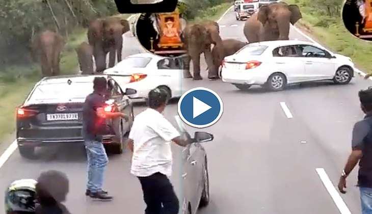 Viral Video: हाय रे! हाथी के परिवार ने कार पर बोला धाबा, देखिए फिर कैसे बची लोगों की जान