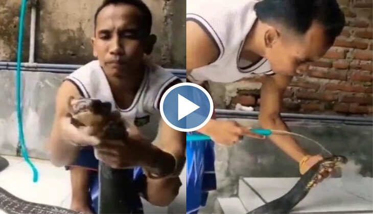 Viral Video: पहले सैंपू लगाया फिर पानी से नहलाया...देखें कोबरा को कैसे मजे में स्नान करा रहा ये बंदा