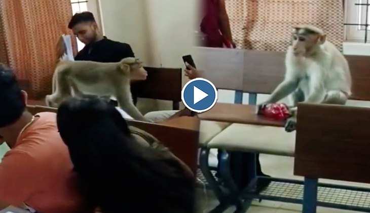 Viral Video: चलती क्लास में खिड़की से घुस आया बंदर, वीडियो देख लोग बोले-'ये निरीक्षण पर आया है'