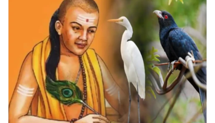 Chanakya Niti: इन 3 पक्षियों के स्वभाव को अपनाने मात्र से हारेंगे दुश्मन, फीकी पड़ जाएगी हर योजना