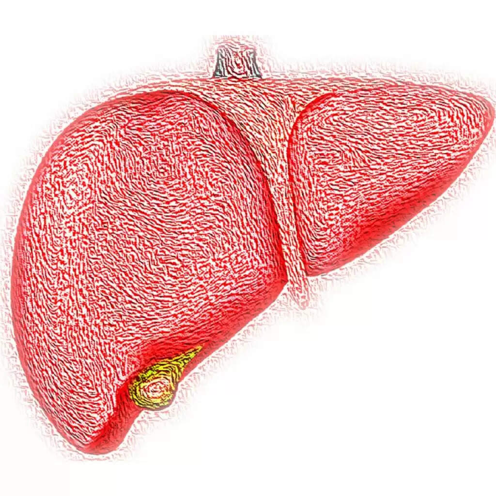 Liver Care: भूलकर भी ना बरतें लीवर के प्रति लापरवाही, इन चीजों के सेवन द्वारा डॉक्टर से रहेंगे कोसो दूर