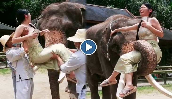 Viral Video: बाप रे! लड़की को बैठा दिया हाथी की सूड पर, देखिए फिर कैसे लगी फूट-फूटकर रोने