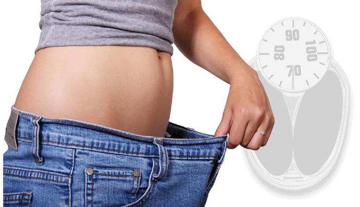 Weight Loss Plan: अगर आपने फॉलो किया ये डाइट प्लान तो एक महीने में दिख जाएगा जादुई असर