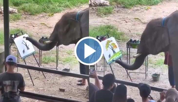 Hathi Ka Video: ओ भाई साहब! हाथी ने अपनी सूंड से बनाई शानदार पेंटिंग, वीडियो देख आंखें रह जाएंगे खुली की खुली