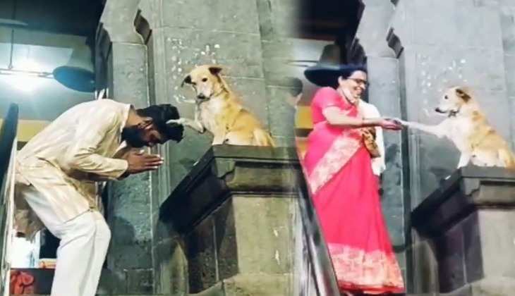 Dog Video: यह कुत्ता मंदिर से बाहर निकलते ही भक्तों को देता है 'आर्शीवाद', देखिए वीडियो