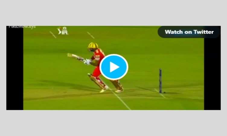 Video TATA IPL 2022, CSK vs PBKS: 40 के धोनी ने लगाई चीते की रफ्तार से दौड़, फिर हवा में गिरते हुए बिखेरीं गिल्लियां, देखें वीडियो