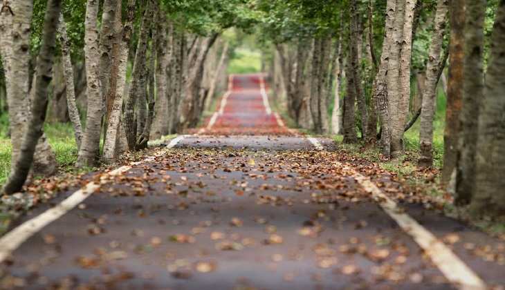 मार्च की गर्मी निकालेगी पसीना, मौसम विभाग ने कहा, इन राज्यों में चलेगी भयंकर लू